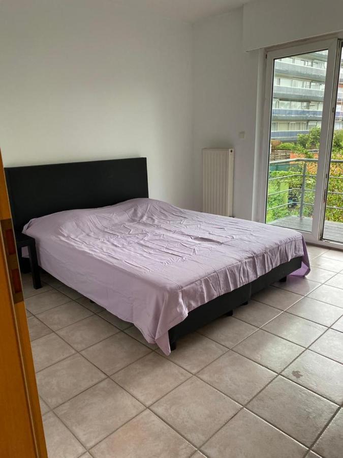 Superbe Appartement Lumineux Et Spacieux Antwerpia Zewnętrze zdjęcie